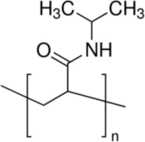 聚（N-异丙基丙烯酰胺）