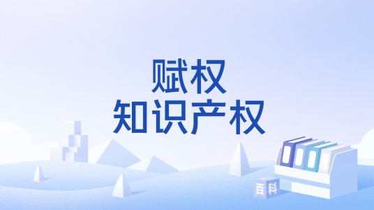 赋权知识产权