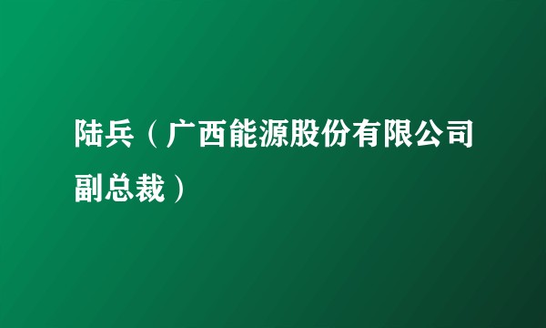 陆兵（广西能源股份有限公司副总裁）