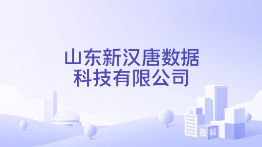 山东新汉唐数据科技有限公司