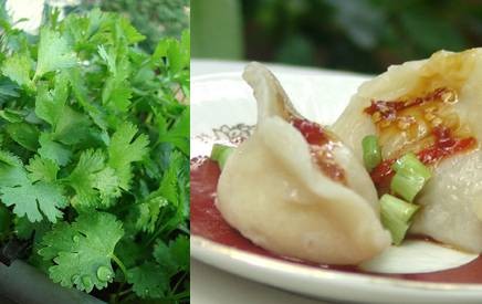 香菜水饺