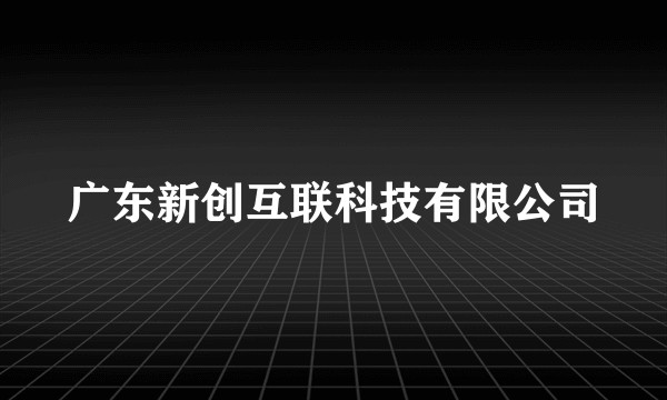 广东新创互联科技有限公司