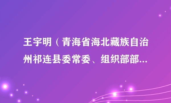 王宇明（青海省海北藏族自治州祁连县委常委、组织部部长、三级调研员）