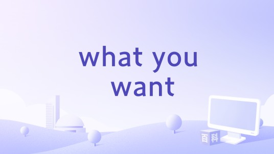 what you want（Ilkay Sencan演唱的歌曲）