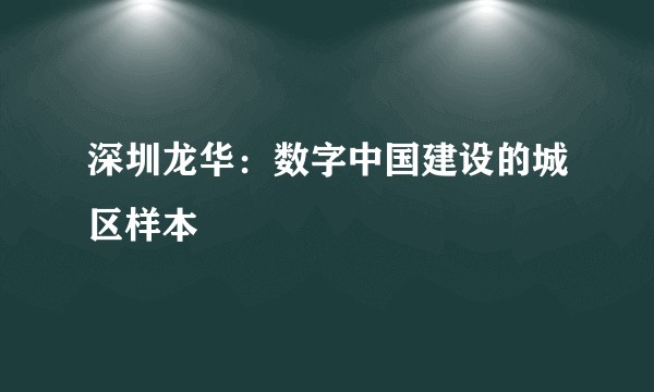 深圳龙华：数字中国建设的城区样本