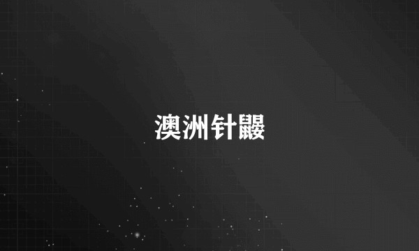 澳洲针鼹