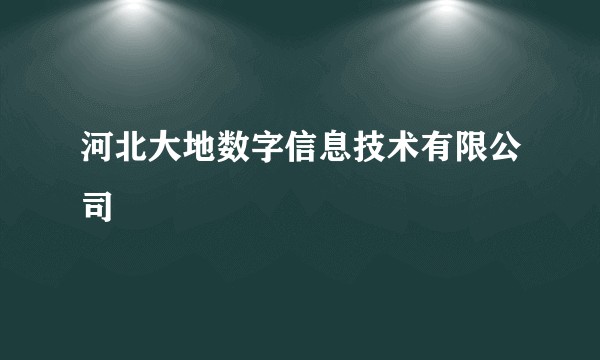 河北大地数字信息技术有限公司