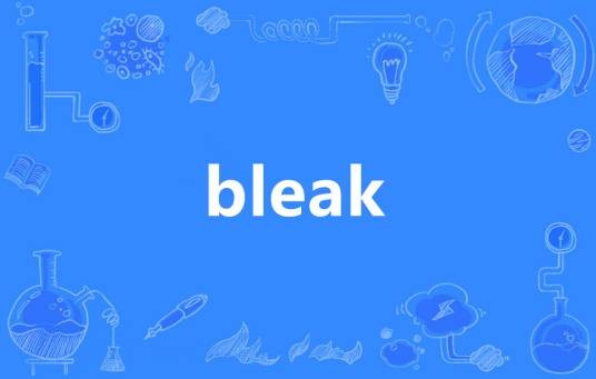 bleak(英语单词)
