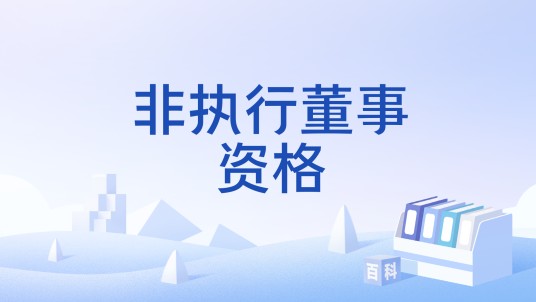非执行董事资格
