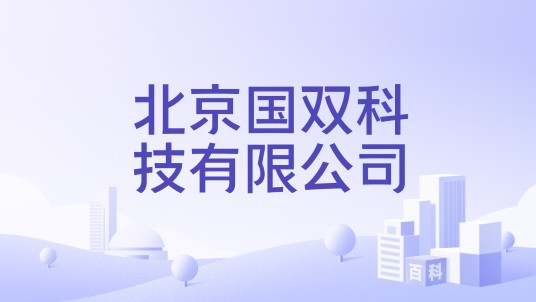 北京国双科技有限公司