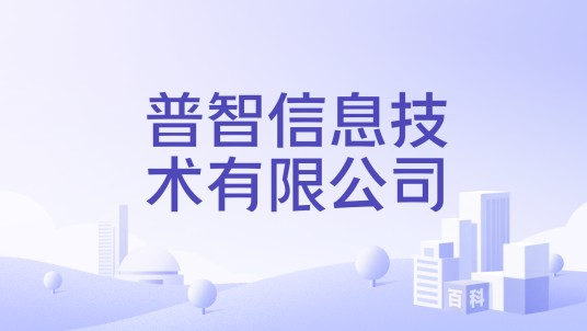 普智信息技术有限公司
