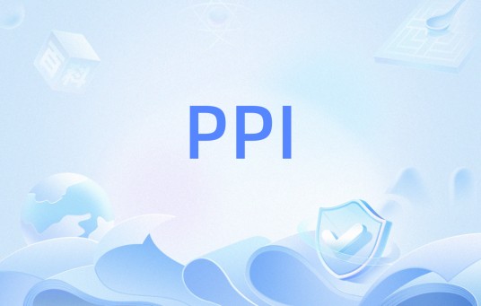 PPI（并行外设总线）