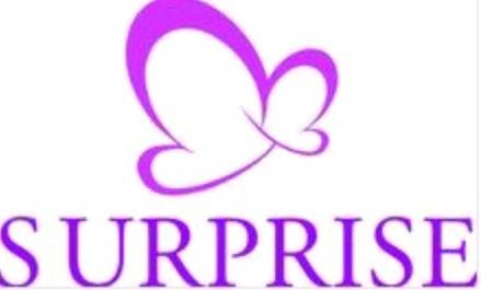Surprise（护肤品牌简介）