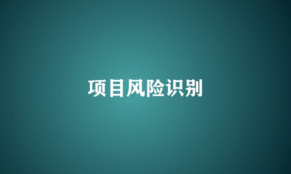 项目风险识别