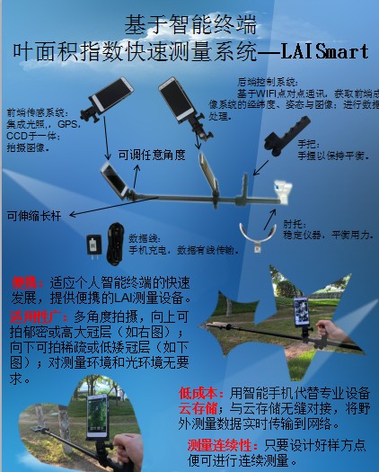 叶面积指数测量