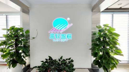 四川易软信息技术有限公司