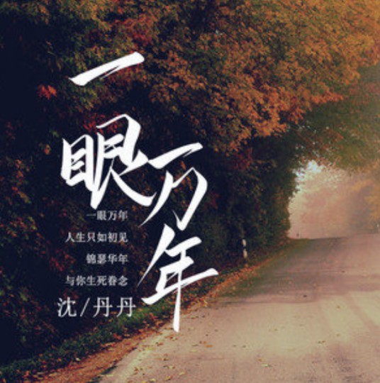 一眼万年（沈丹丹演唱的歌曲）