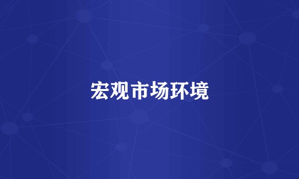 宏观市场环境