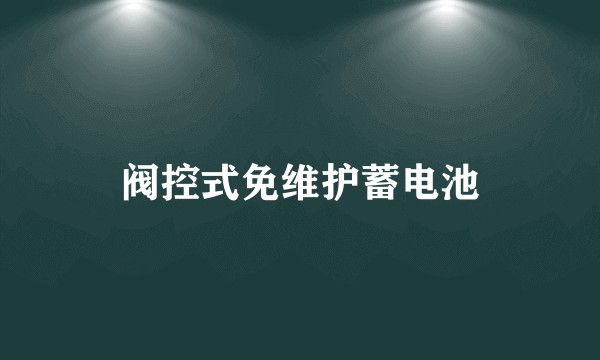 阀控式免维护蓄电池