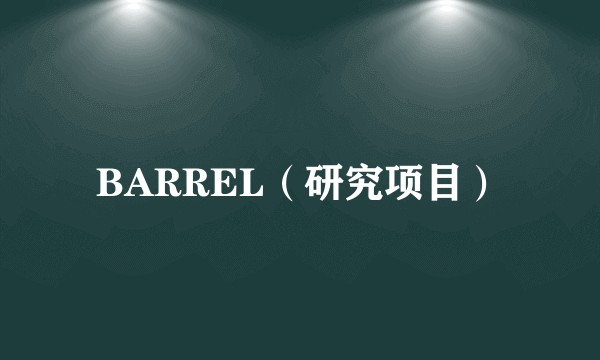 BARREL（研究项目）