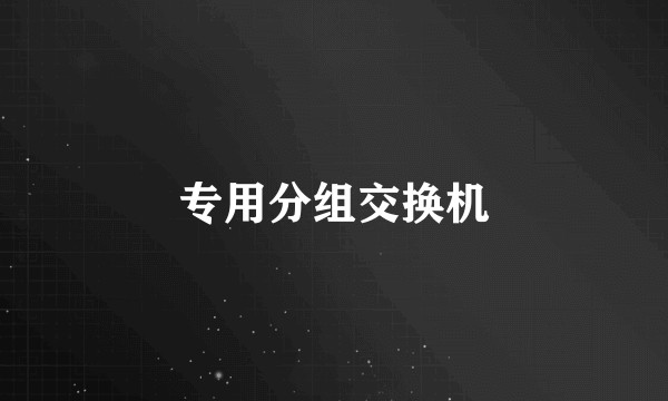 专用分组交换机