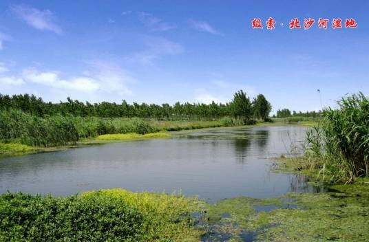 北沙河(北京市河流(温榆河支流))