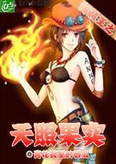 海盗王之天照果实
