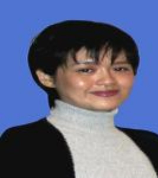 凌玲（中国广东工业大学副教授）
