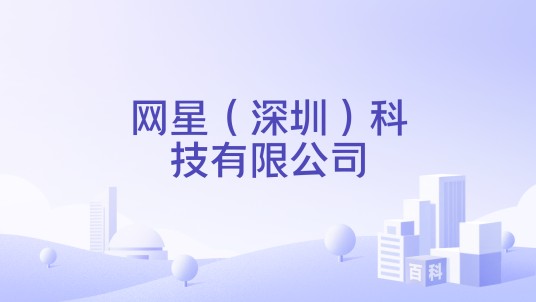 网星（深圳）科技有限公司