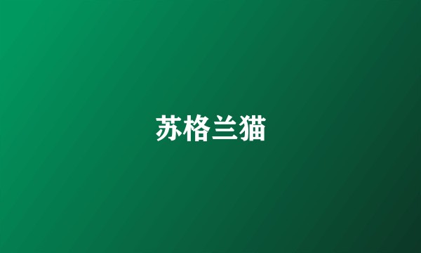 苏格兰猫