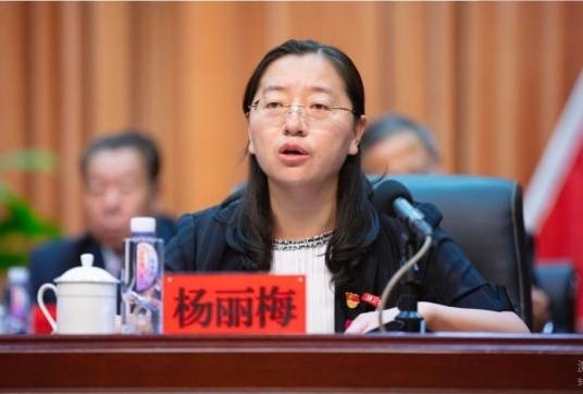 杨丽梅（内蒙古自治区察右中旗委常委、旗委书记）