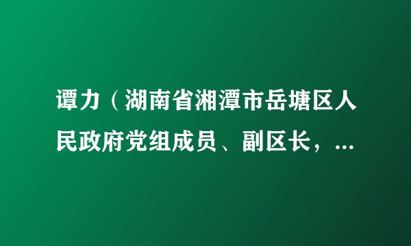 谭力(湖南省湘潭市岳塘区人民政府党组成员、副区长,岳塘公安分局党委书记、局长)