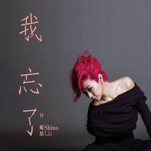 不了情（林晓培演唱歌曲）