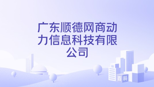 广东顺德网商动力信息科技有限公司