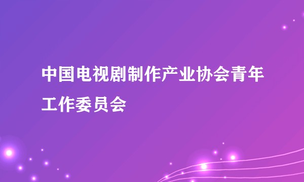中国电视剧制作产业协会青年工作委员会