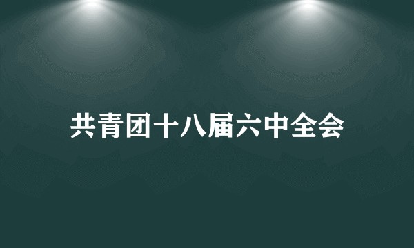 共青团十八届六中全会