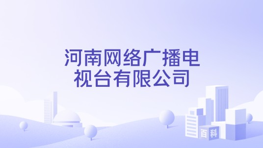 河南网络广播电视台有限公司