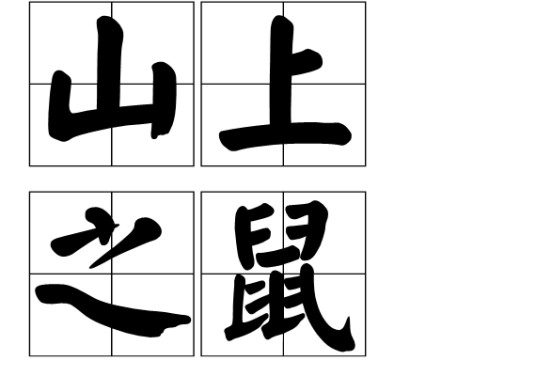 山上之鼠