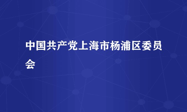 中国共产党上海市杨浦区委员会
