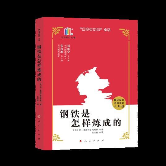 钢铁是怎样炼成的（2020年人民出版社出版的图书）