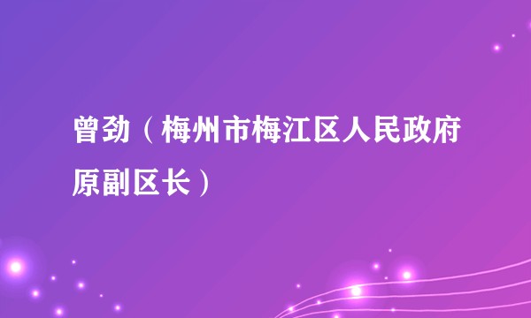 曾劲（梅州市梅江区人民政府原副区长）