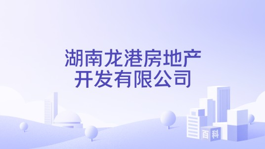 湖南龙港房地产开发有限公司