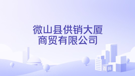 微山县供销大厦商贸有限公司