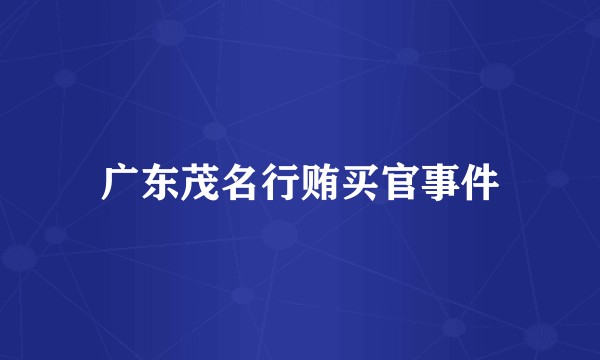 广东茂名行贿买官事件