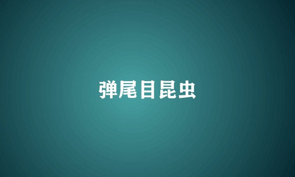 弹尾目昆虫