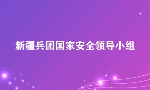 新疆兵团国家安全领导小组