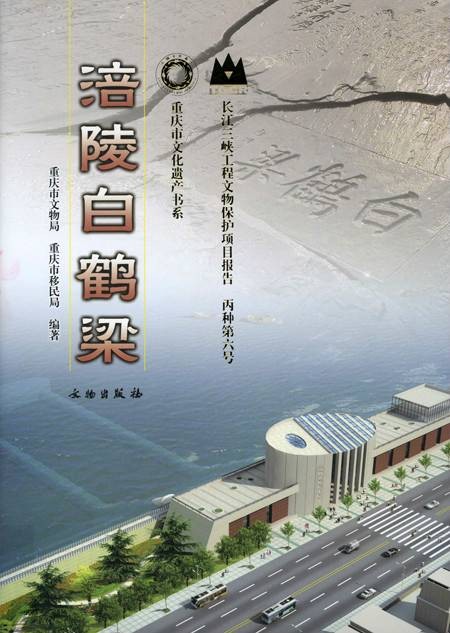 涪陵白鹤梁(长江三峡工程文物保护项目报告丙种第六号)
