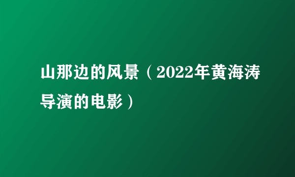 山那边的风景（2022年黄海涛导演的电影）