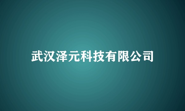 武汉泽元科技有限公司
