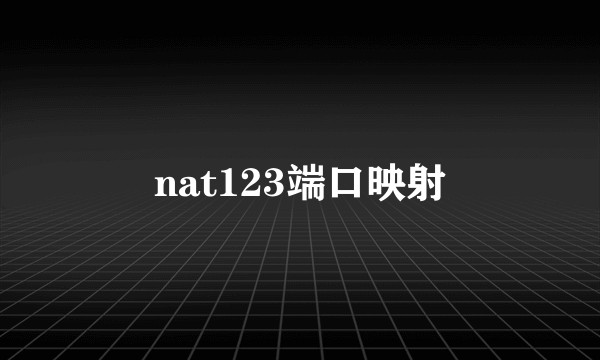 nat123端口映射